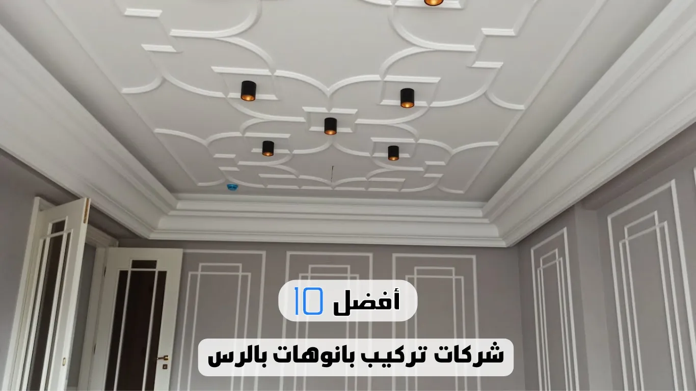 أفضل 10 شركات تركيب بانوهات بالرس