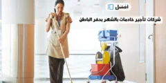 أفضل 10 شركات تأجير خادمات بالشهر بحفر الباطن