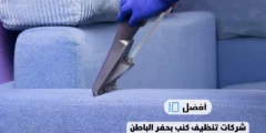 أفضل 10 شركات تنظيف كنب بحفر الباطن